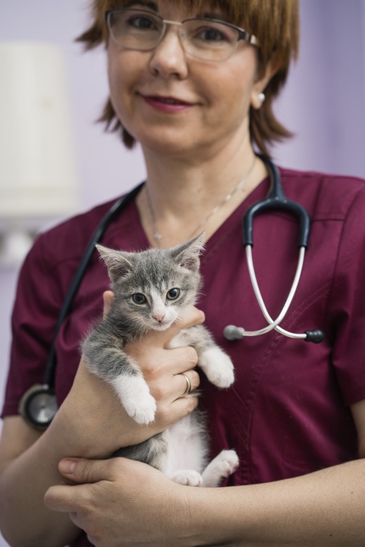 Centro Veterinario Zaragoza