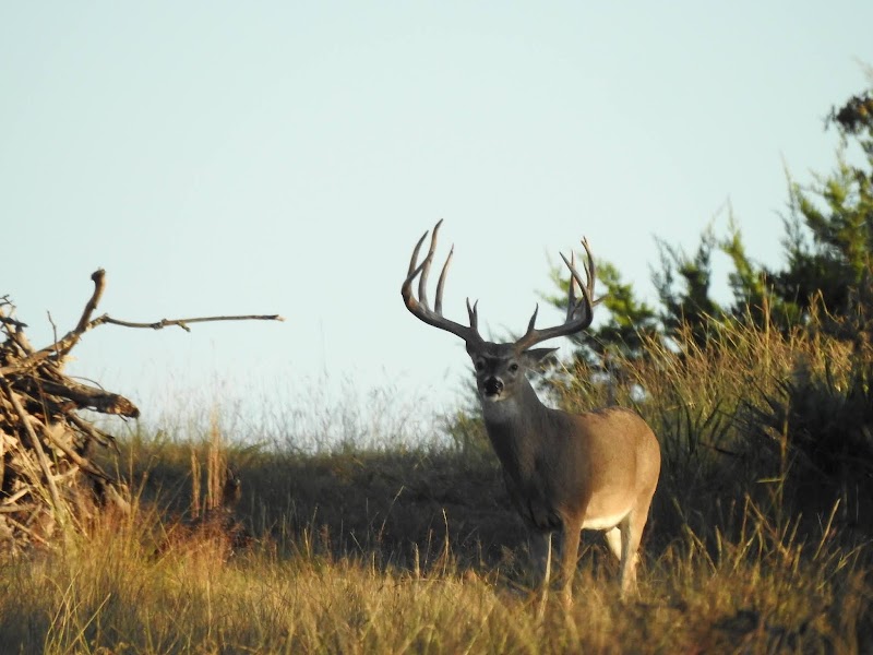 Triple AAA&J Ranch - Photo 1