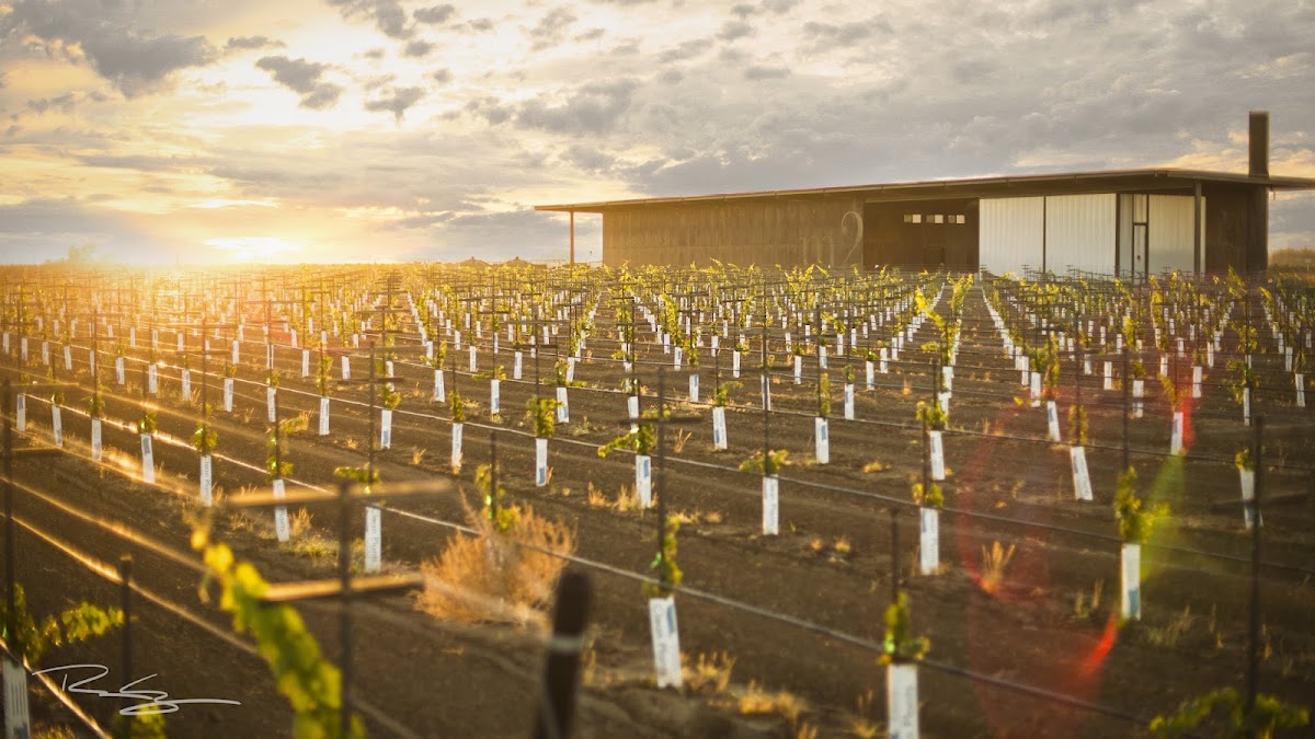m2 Wines