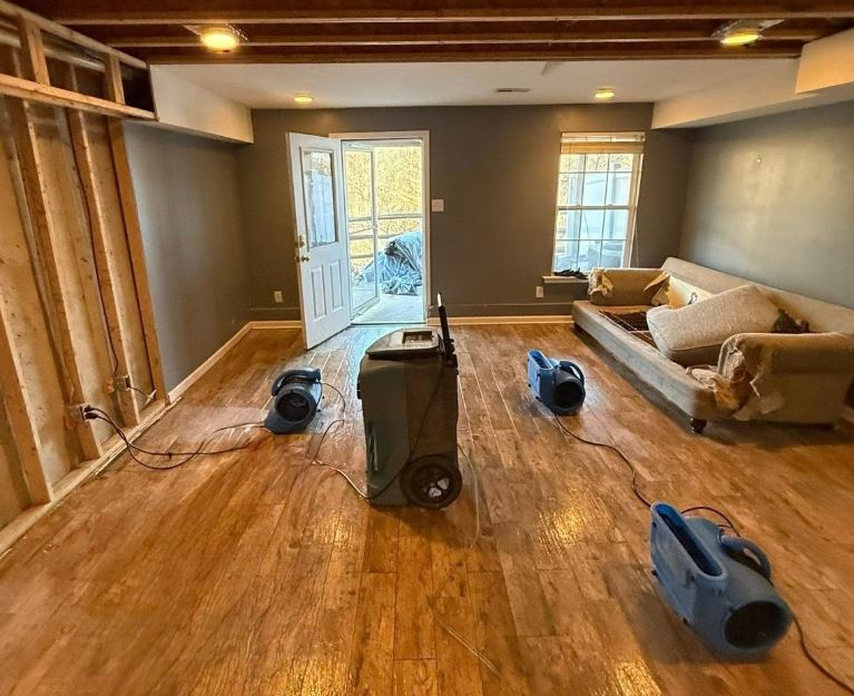 Mold Remediation Tampa Guys — photo