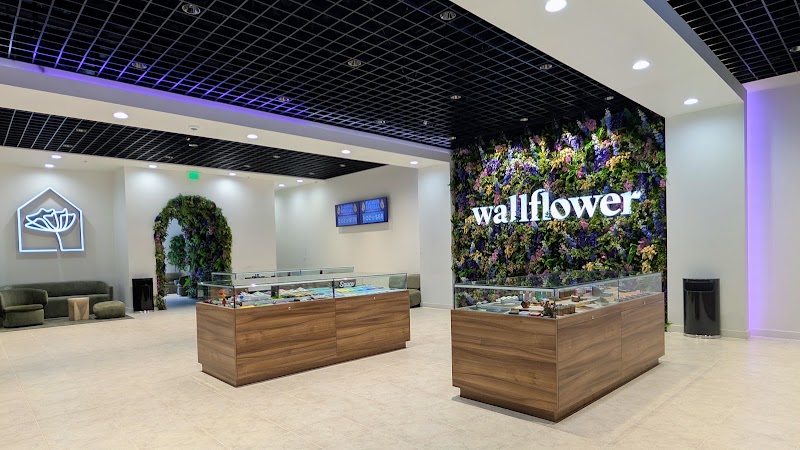 Video tour of Wallflower Cannabis House Weed Dispensary Henderson retail environment