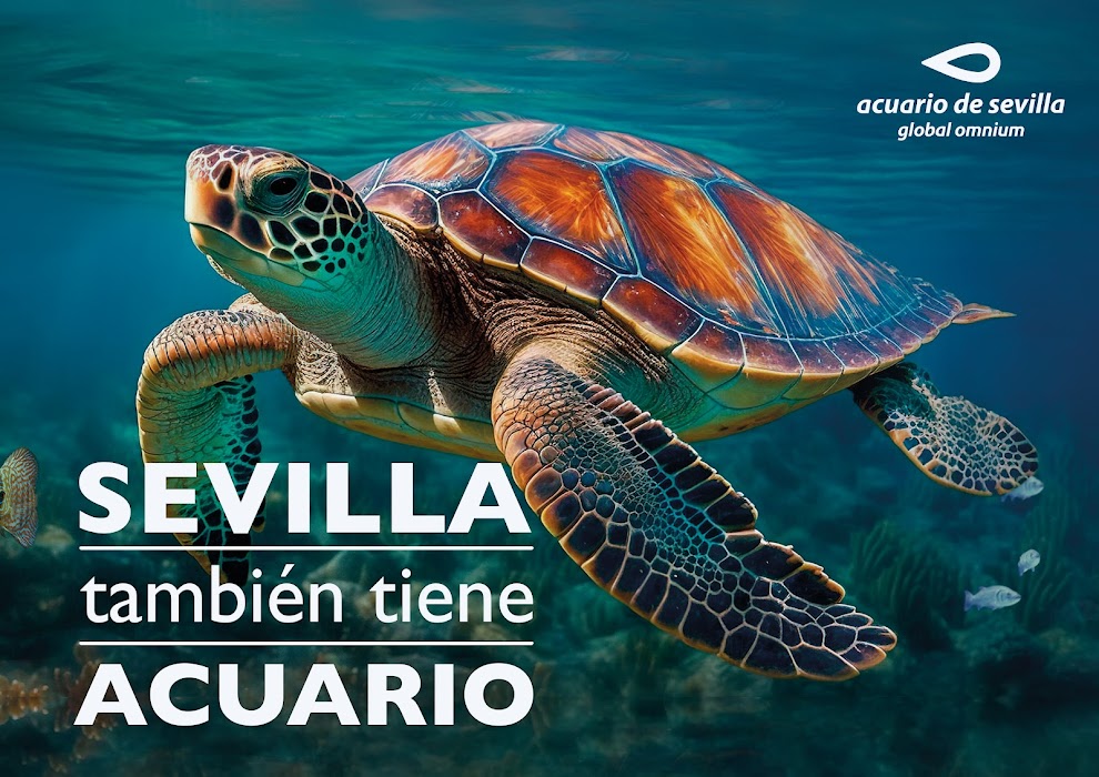 Acuario de Sevilla fotoğraf 1