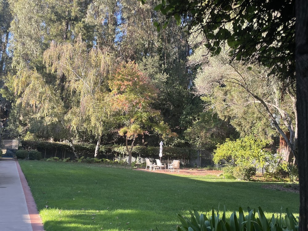 Mills College Art Museum photo