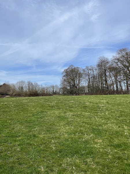 Priory Wood