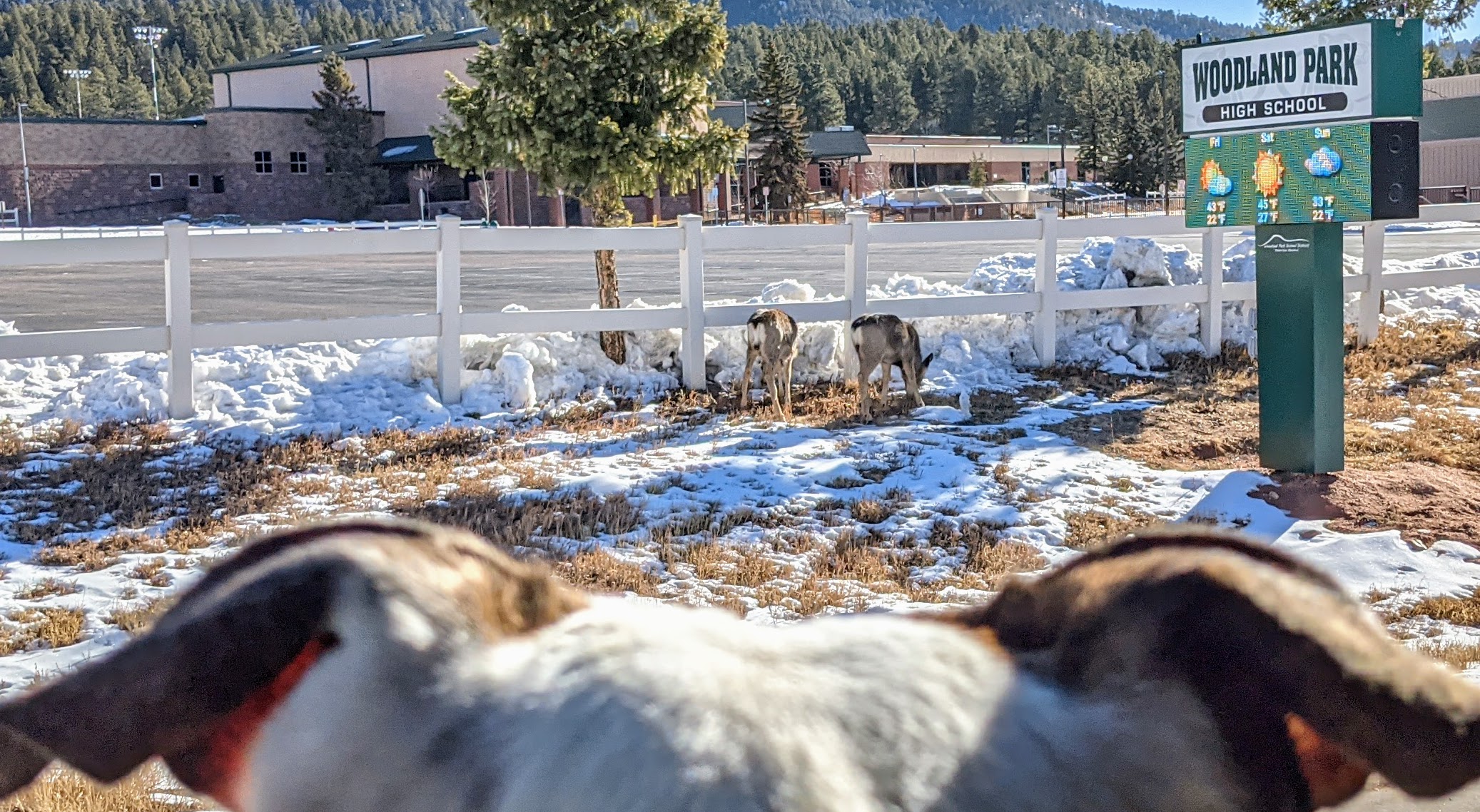 Woodland Park High School