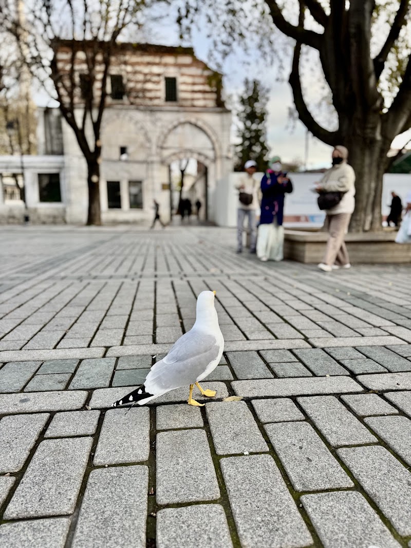 Sultanahmet Square photo 5
