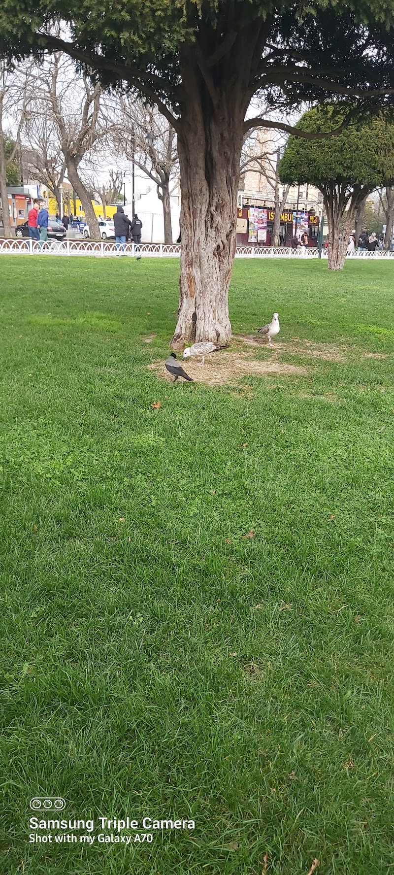 Sultanahmet Square photo 4