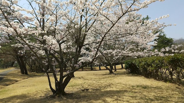 Ashiya Country Club - Photo 10