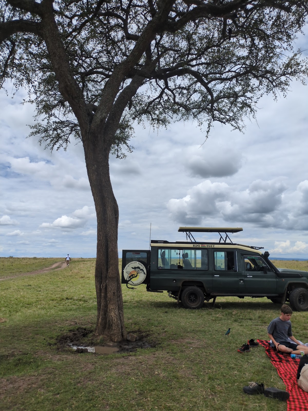 Katona's Picnic tree in maasai-mara