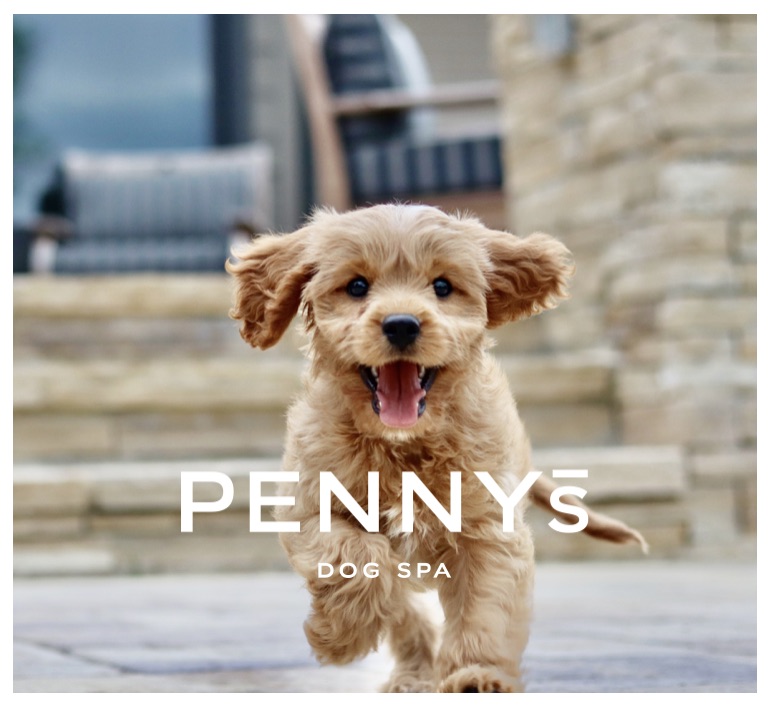 Pennys Dog Spa
