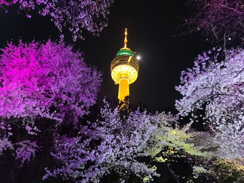 83타워 fotoğraf 1