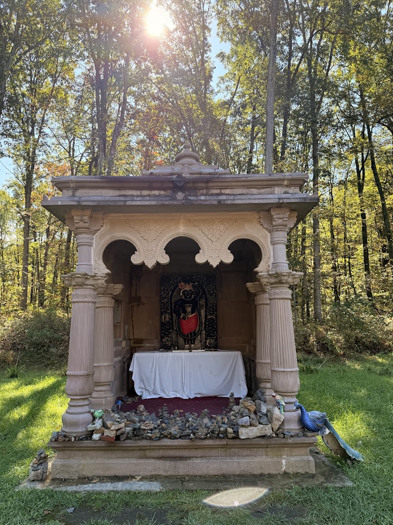 Vraj Cafetaria photo 4