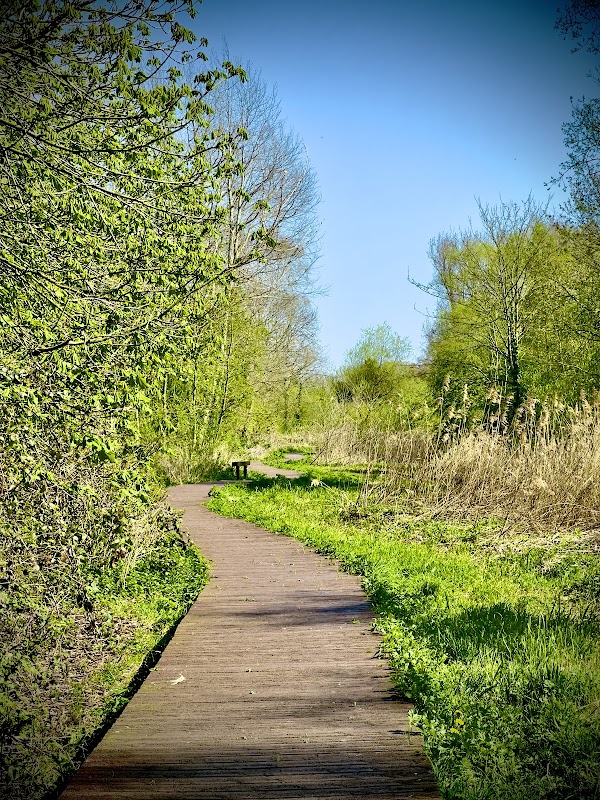 Howden Marsh Local Nature Reserve