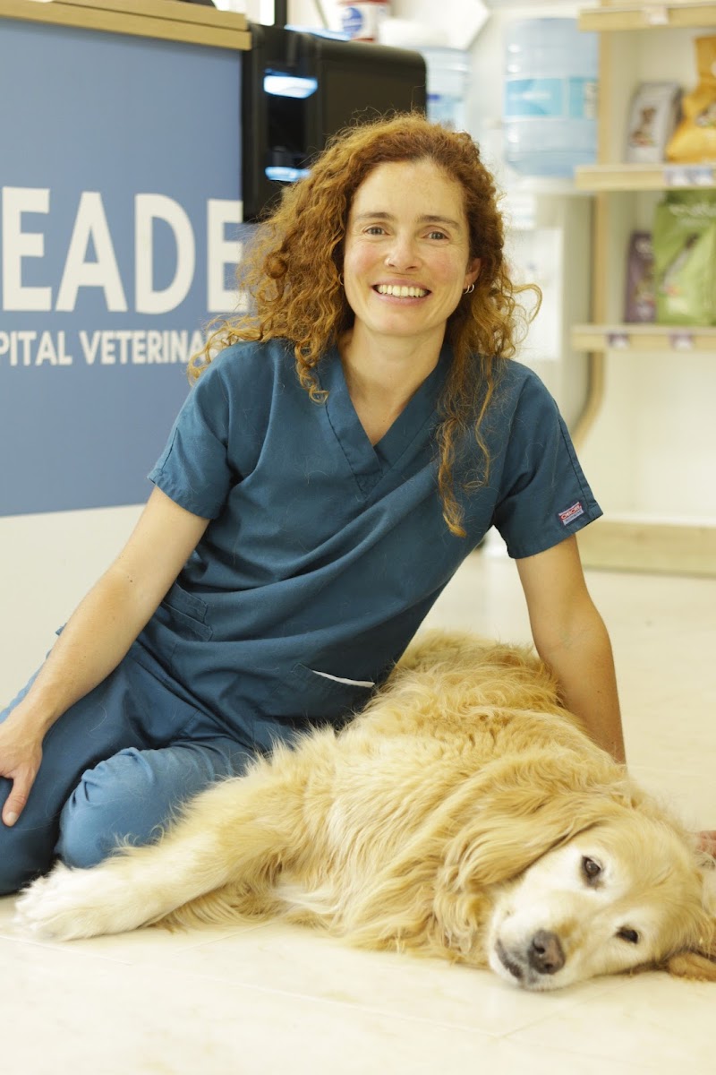 Hospital Veterinario Beade photo 5