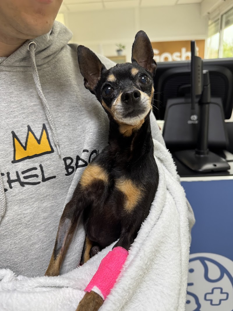 Hospital Veterinario Beade photo 2