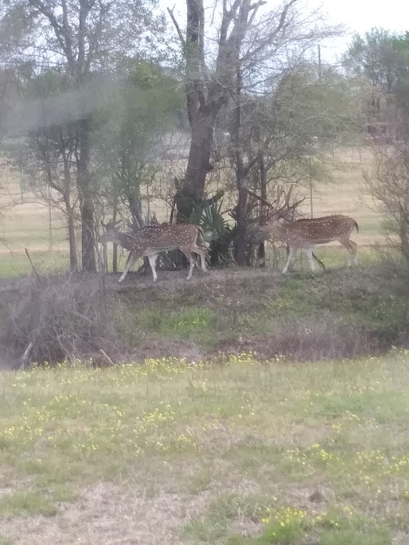 Daves Bayou Lodge & Outfitters - Photo 4