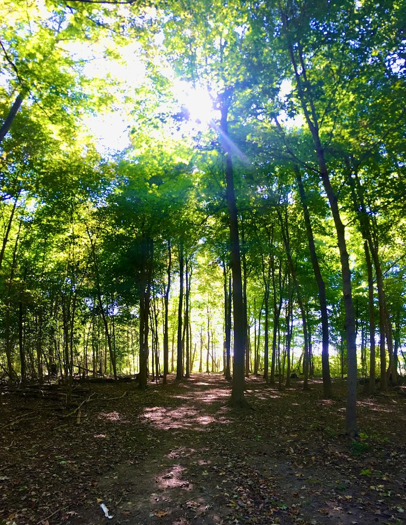 Johnson Disc Golf Course photo 4