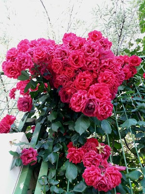 Residencia Centro de Mayores Del Zofio — C. de Ricardo Beltrán y Rózpide, 31, Usera, 28026 Madrid, España