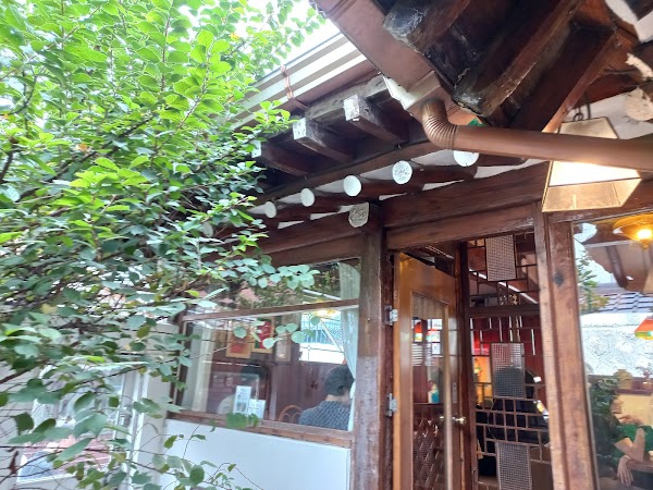 Cherry Blossom 🌸 20