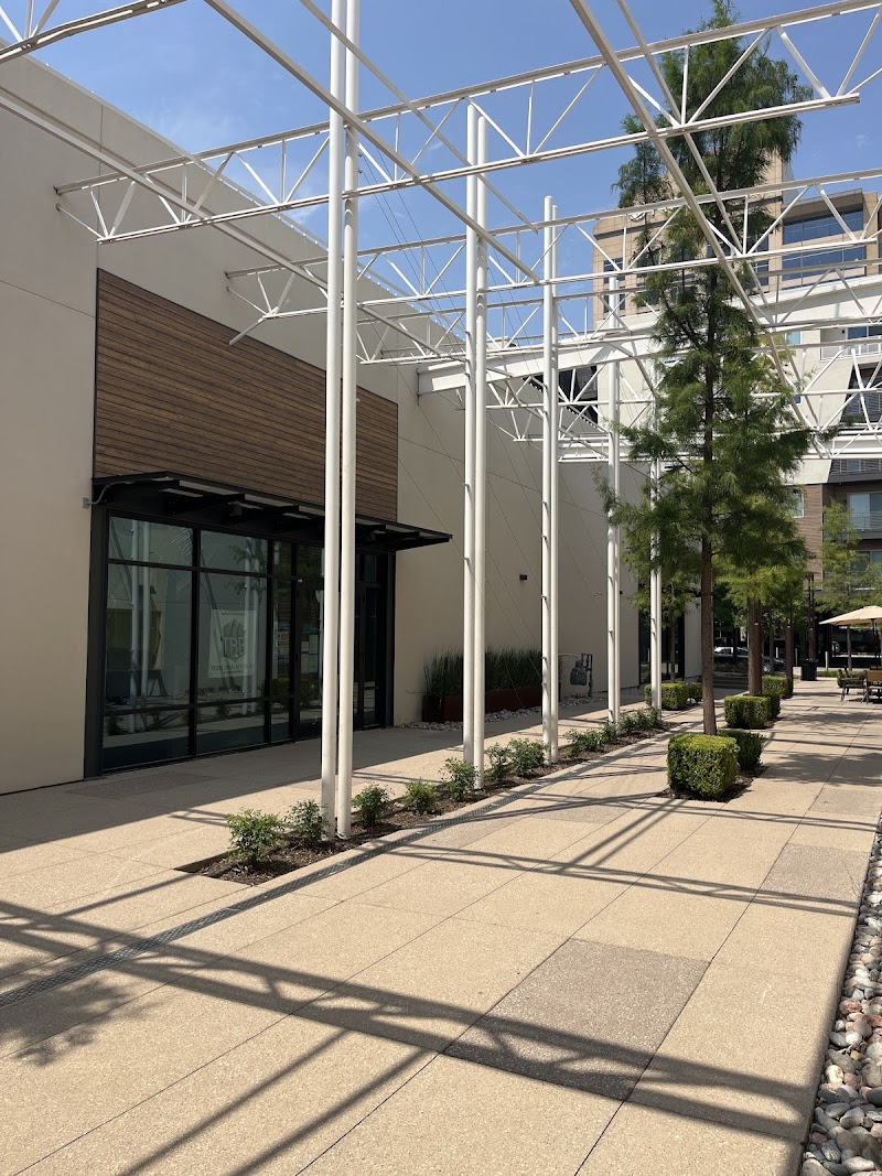 Cheeky Monkeys - Midtown Dallas photo 5