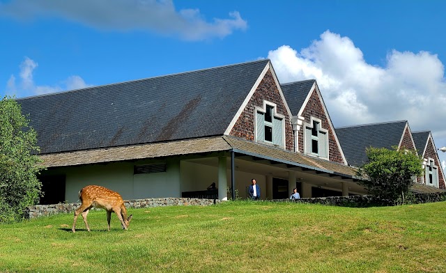 Chateraise Country Club Koumi - Photo 6