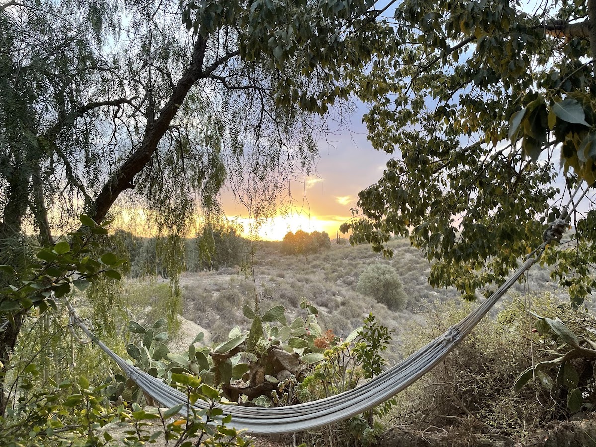 La Finca Paradiso, Utopian Retreats — 4