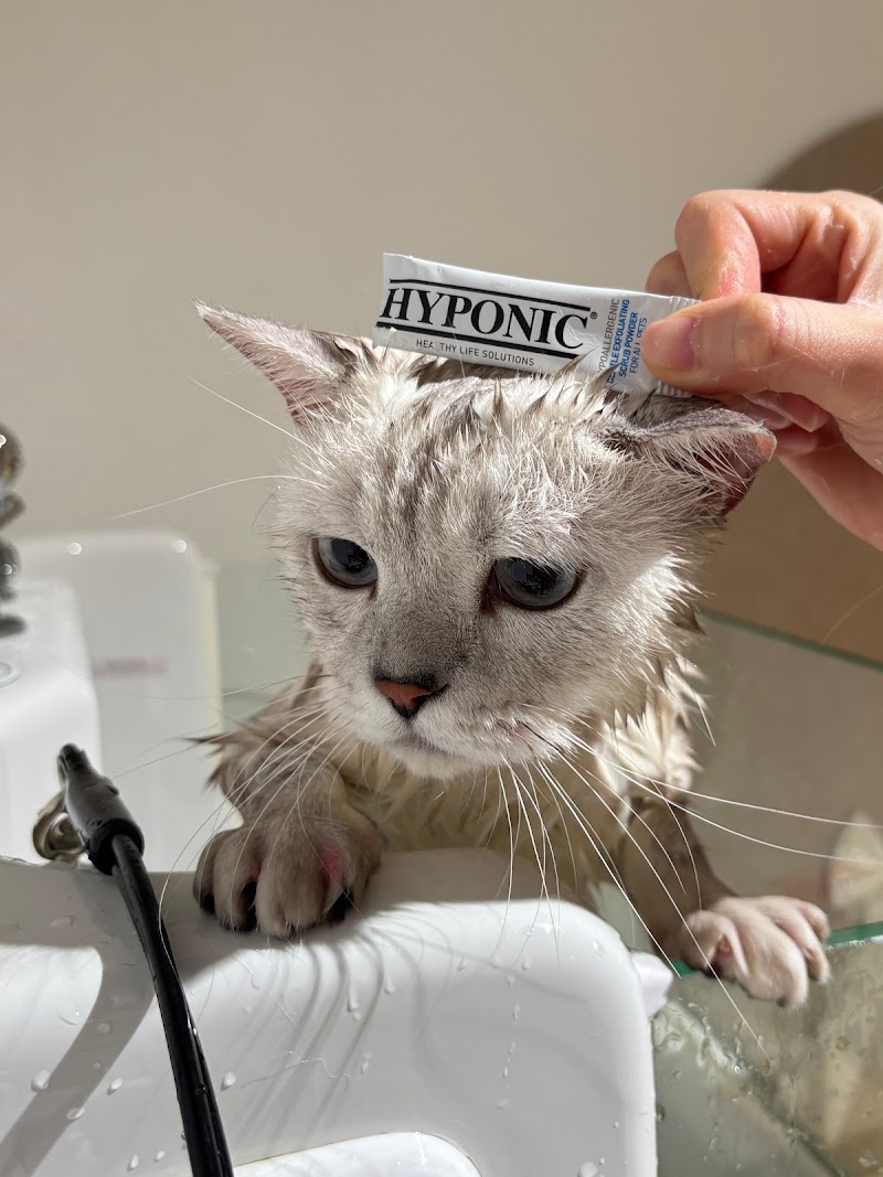 PURRFECT Spa & Grooming