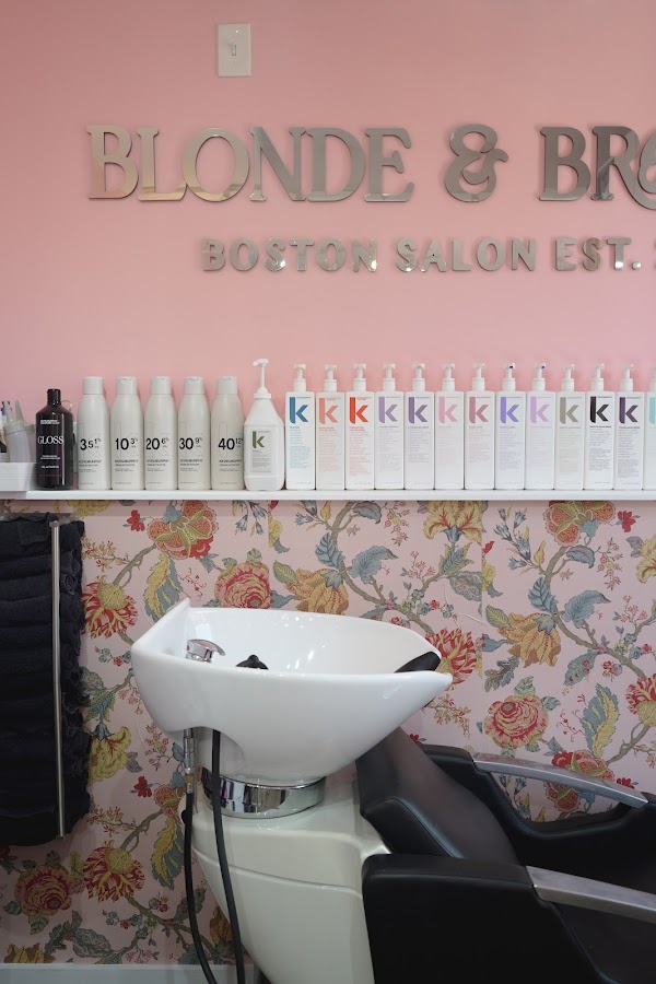 Blonde and Bronde Salon portfolio