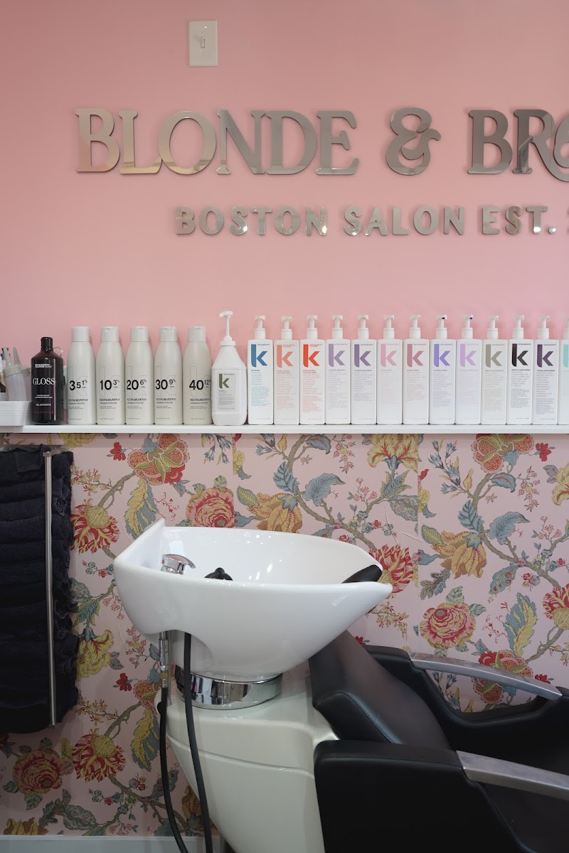 Blonde and Bronde Salon