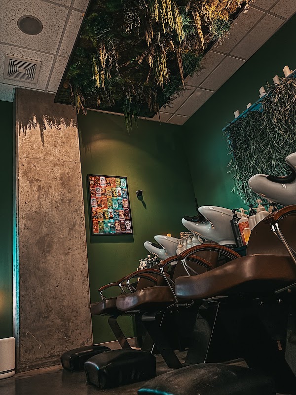 Golden Soul Salon portfolio