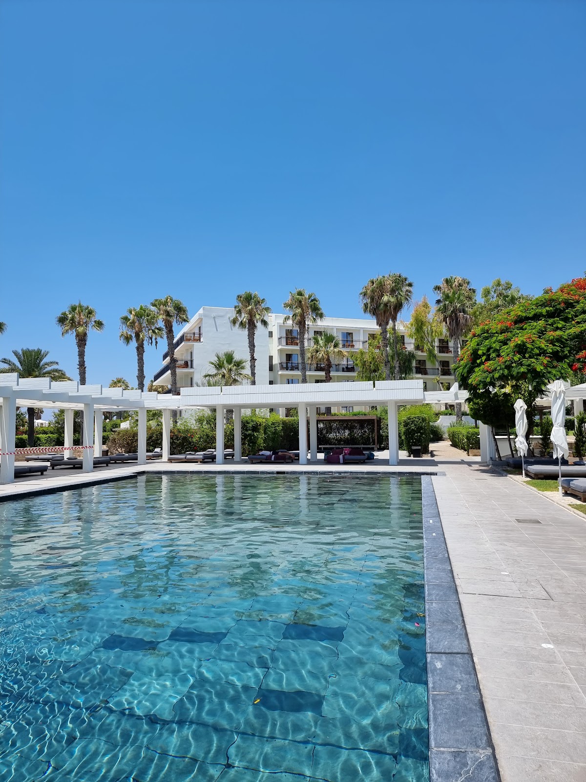 Almyra, dog-friendly hotel, photo 2
