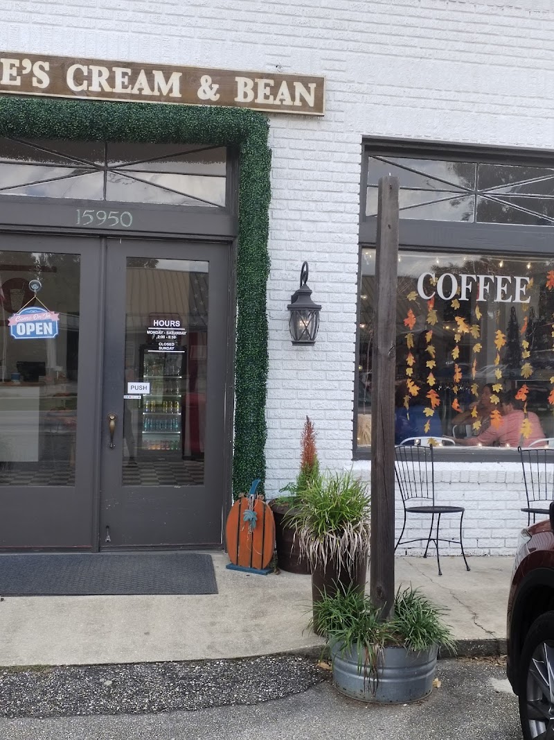 Brodie's Cream & Bean photo 4