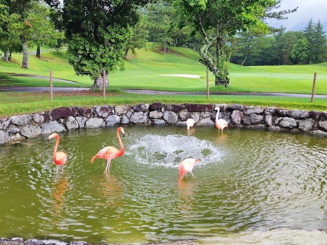 Shimagahara Country Club - Photo 2