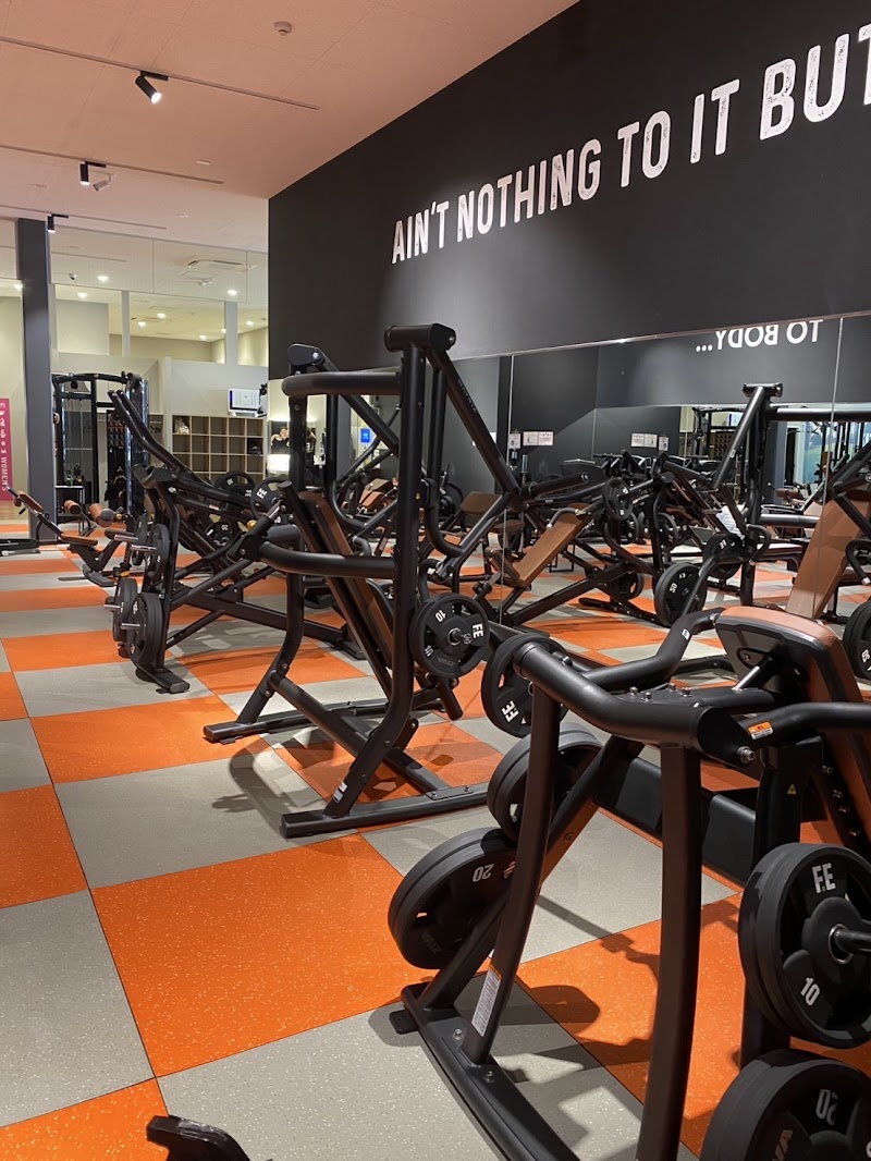 フィットイージー 新潟横越店