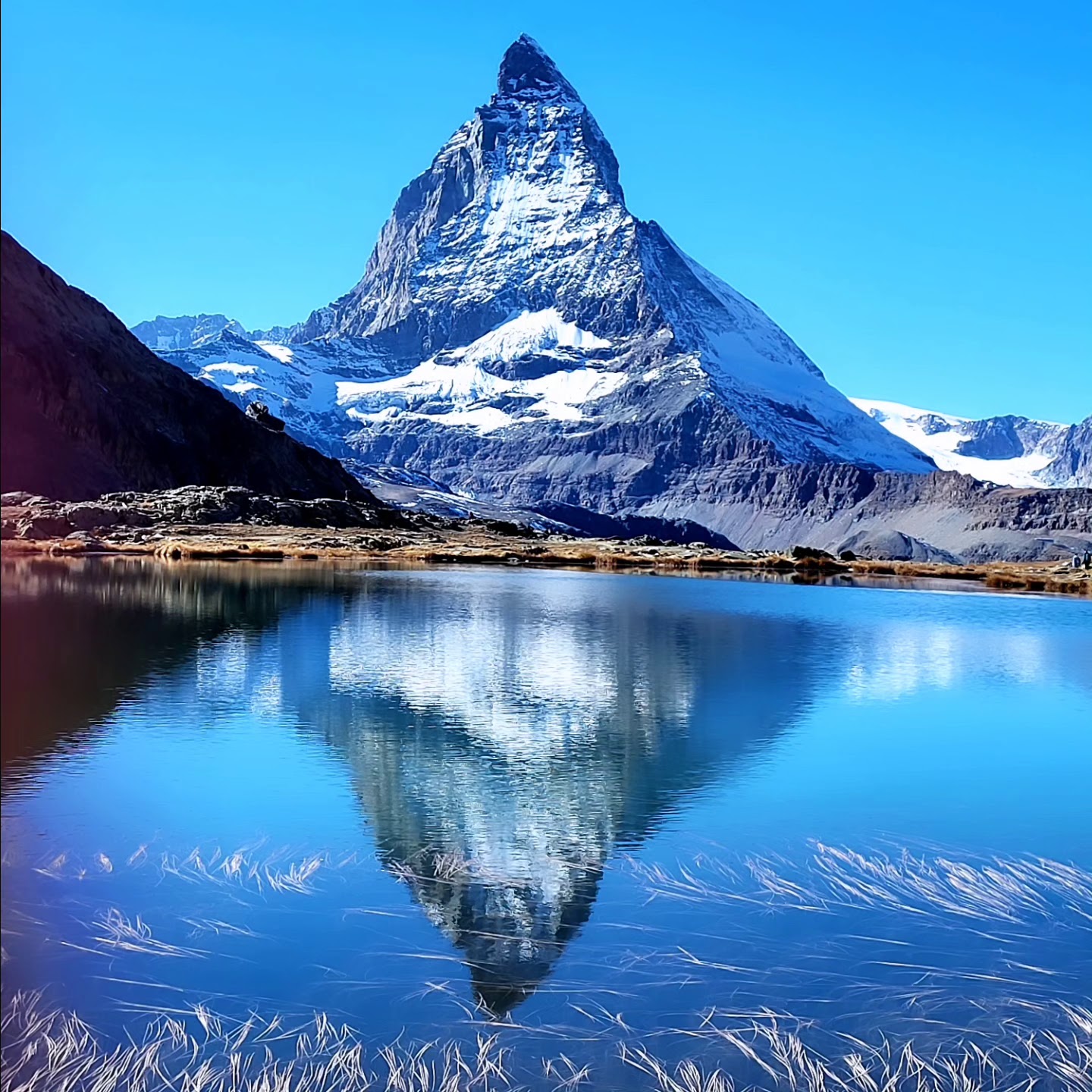 Best Dog-Friendly Hotels in Zermatt, Switzerland