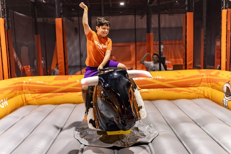 Big Air Trampoline & Adventure Park — Amusement Center in Houston