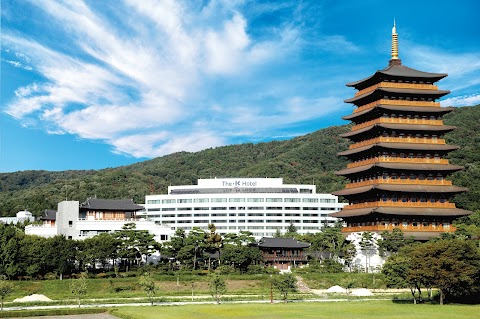 더케이호텔 경주 경주시 애견숙소