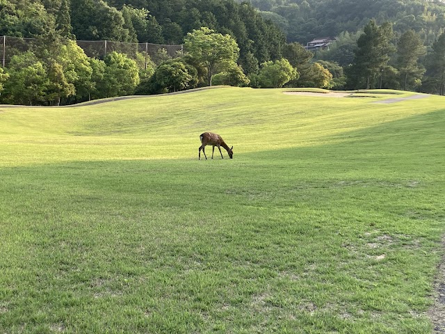 Takehara Country Club - Photo 2