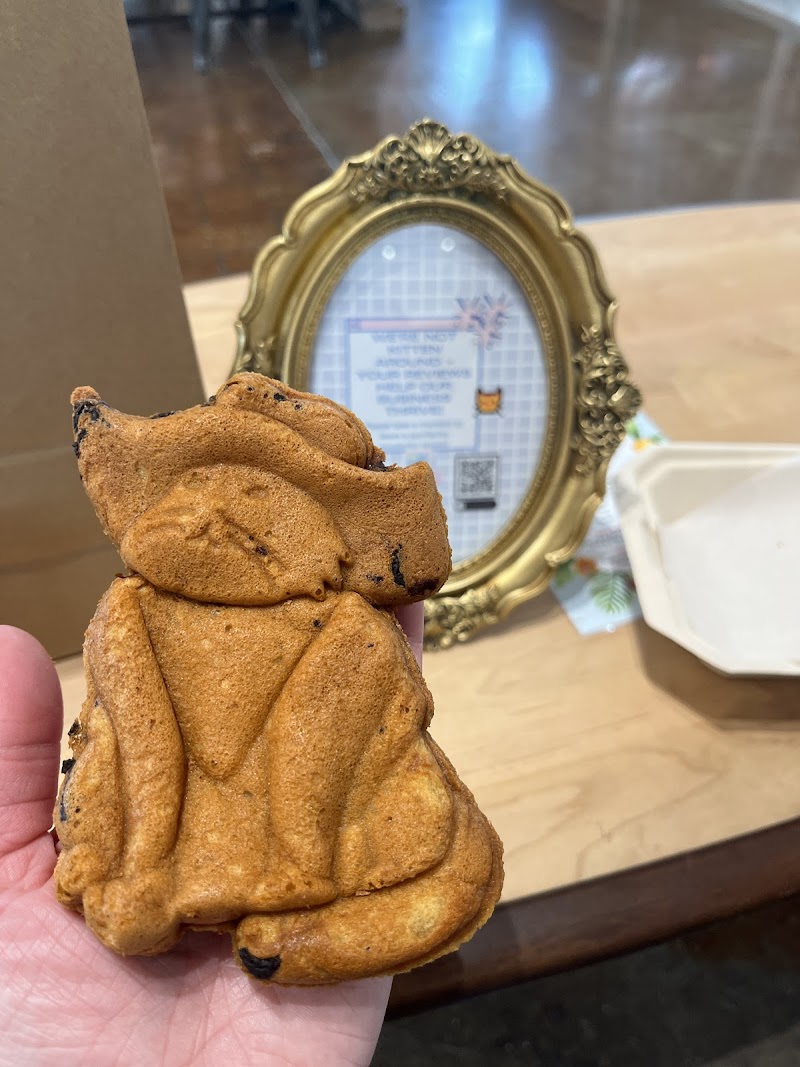 don’t stress meowt - Cat Cafe photo 2