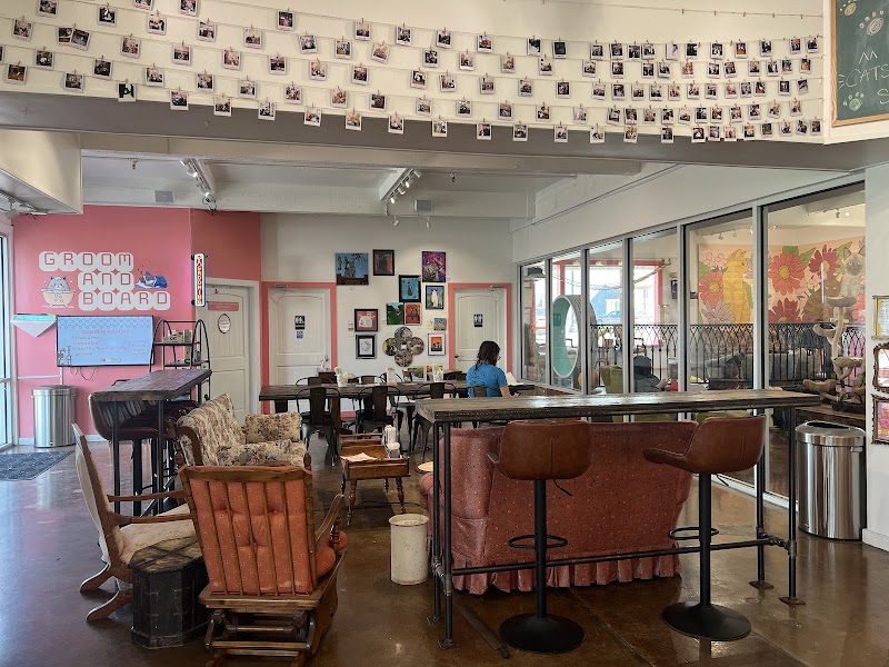 don’t stress meowt - Cat Cafe photo 2