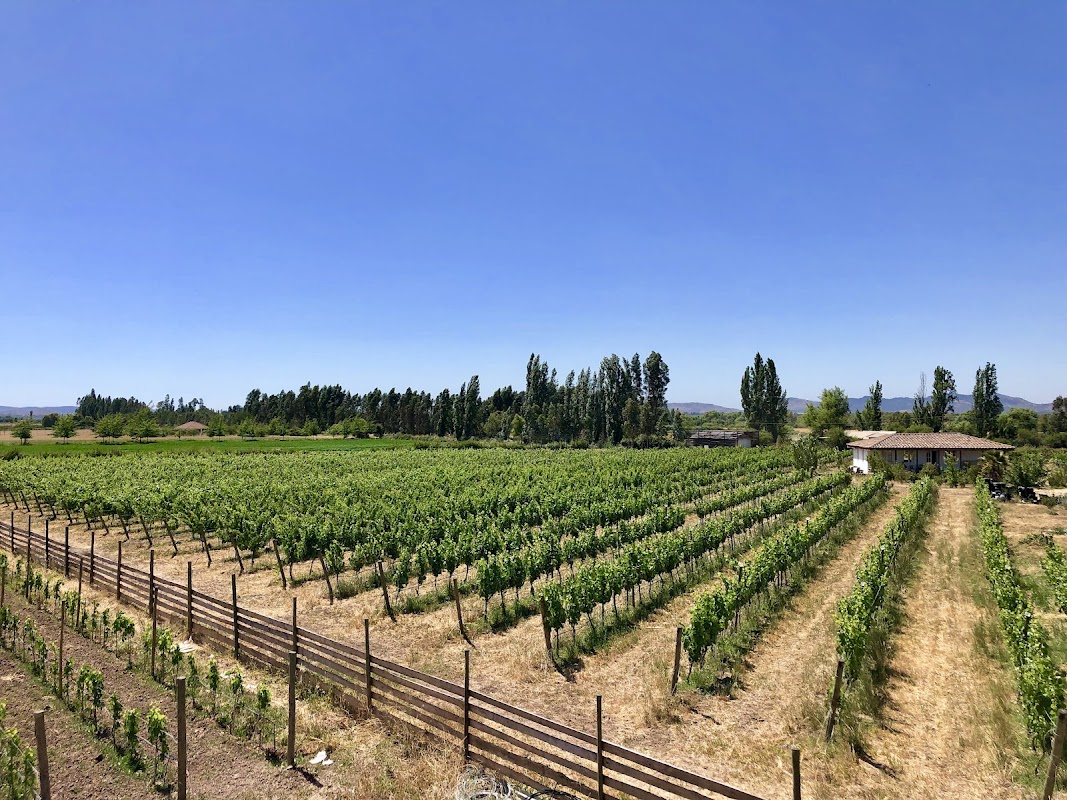 La Despensa Boutique Winery