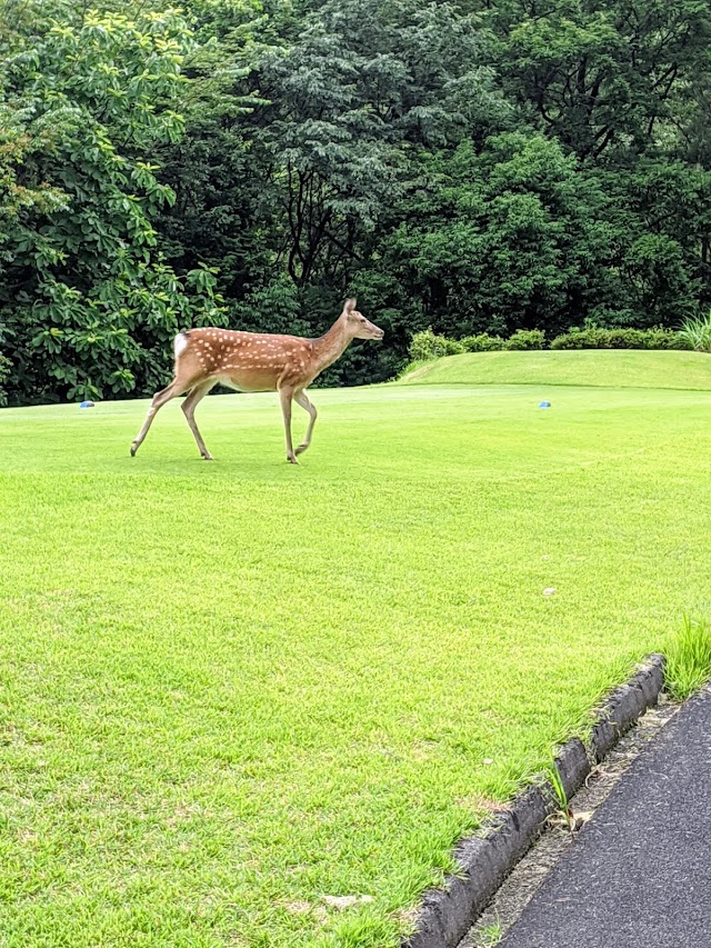 Harmony Hills Golf Club - Photo 8