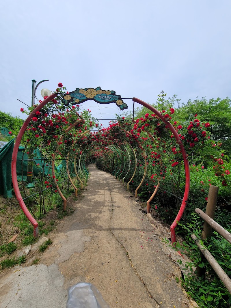 해파랑길 9코스 사진 2