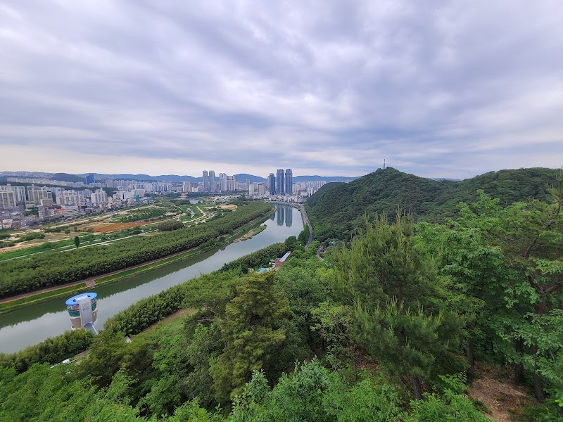 해파랑길 9코스 반려동물 동반 여행지