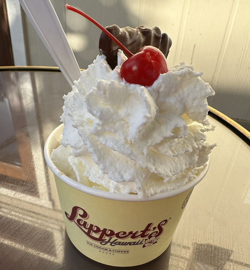 Lappert's Hawaii photo 2