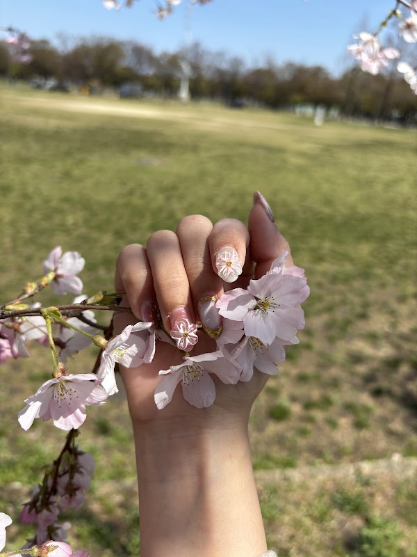 CZENAILS