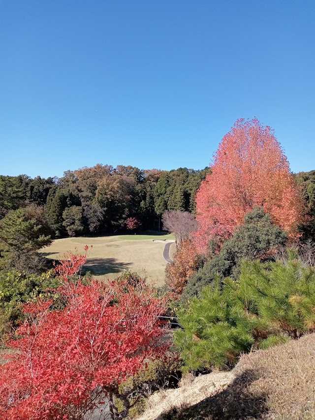 Toyota Country Club - Photo 8