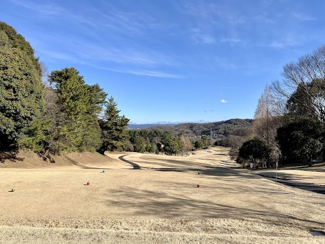 Toyota Country Club - Photo 3