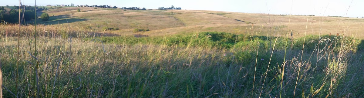 Oasis Game Farm