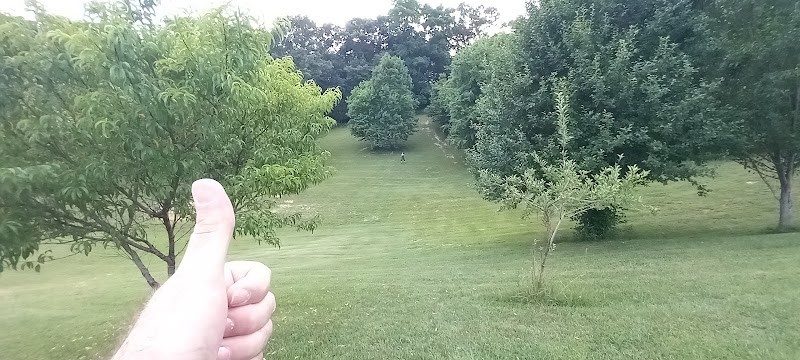 Milligan College Disc Golf photo 3